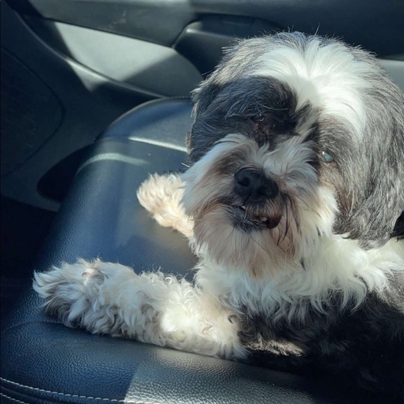 Meet your Posher, Jordan - Picture 1 of 1